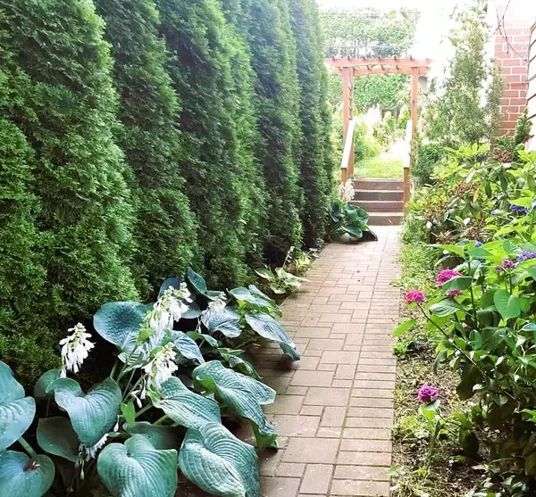 Coquitlam, BC V3K 3R1,1730 Austin AVE