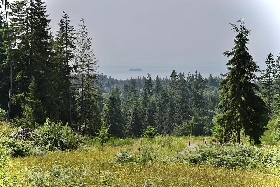 Address Not Disclosed