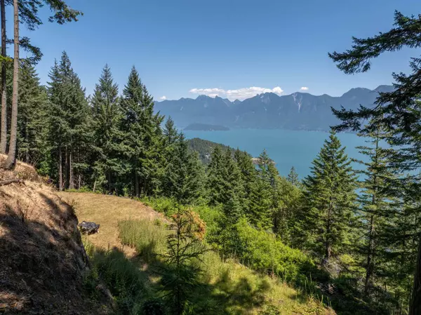 Bowen Island, BC V0N 1G1,738 Channelview DR