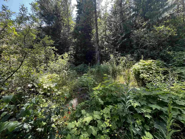 Sunshine Valley, BC V0X 1L5,70921 Old Hope Princeton HWY