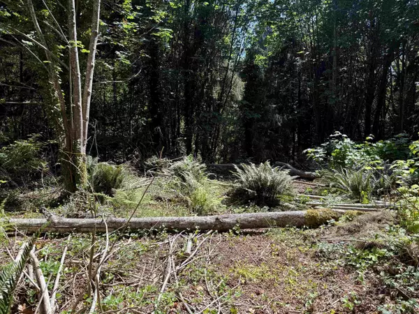 Gibsons, BC V0N 2S0,425 Dunham RD