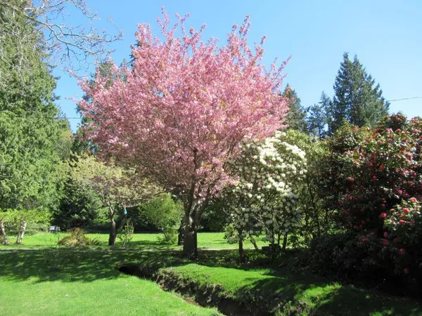 Gibsons, BC V0N 1V1,1308 Burns RD