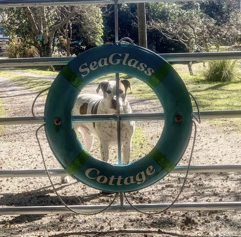 Gibsons, BC V0N 1V1,1308 Burns RD