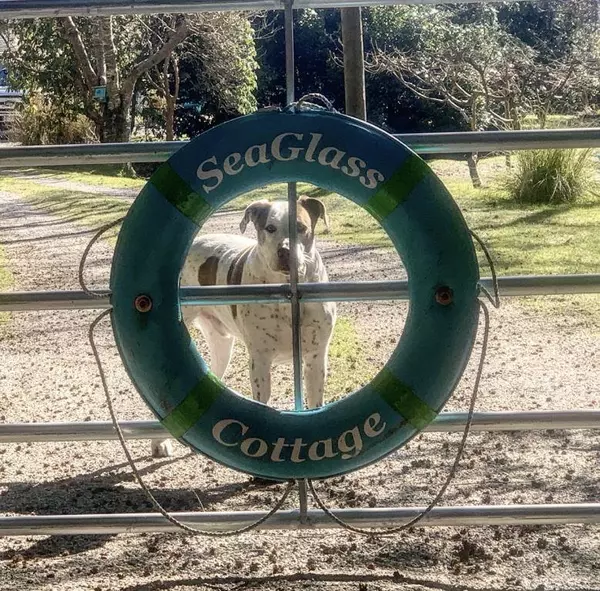 Address Not Disclosed