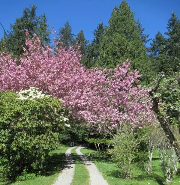 Gibsons, BC V0N 1V1,1308 Burns RD