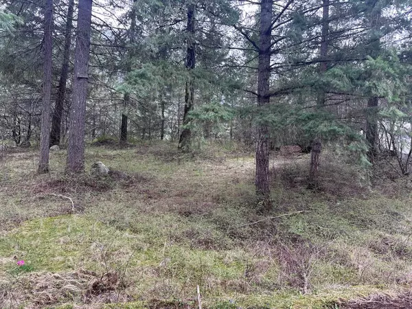 Boston Bar / Lytton, BC V0K 1C0,50595 Slanzi RD