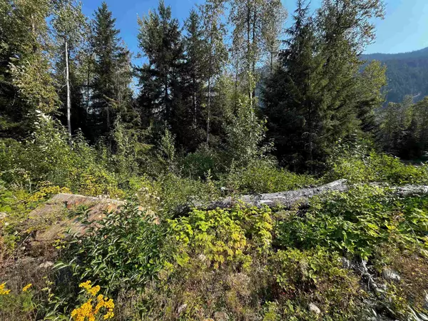 Sunshine Valley, BC V0X 1L5,SVE39 Old Hope Princeton HWY