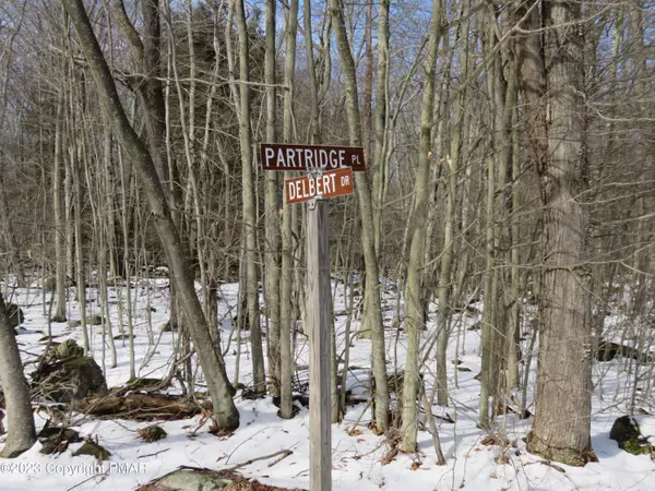 Gouldsboro, PA 18424,80-CC Delbert DR