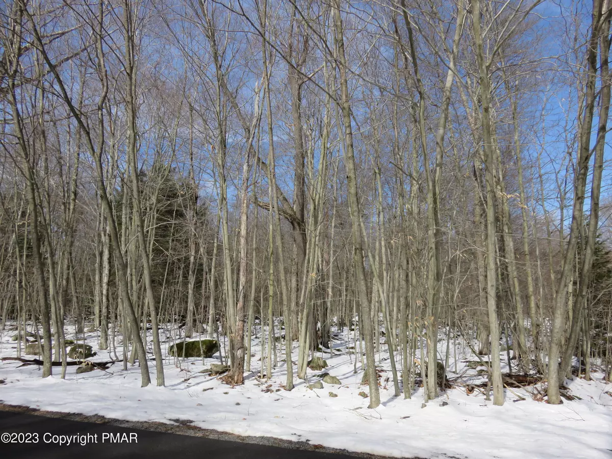 Gouldsboro, PA 18424,80-CC Delbert DR