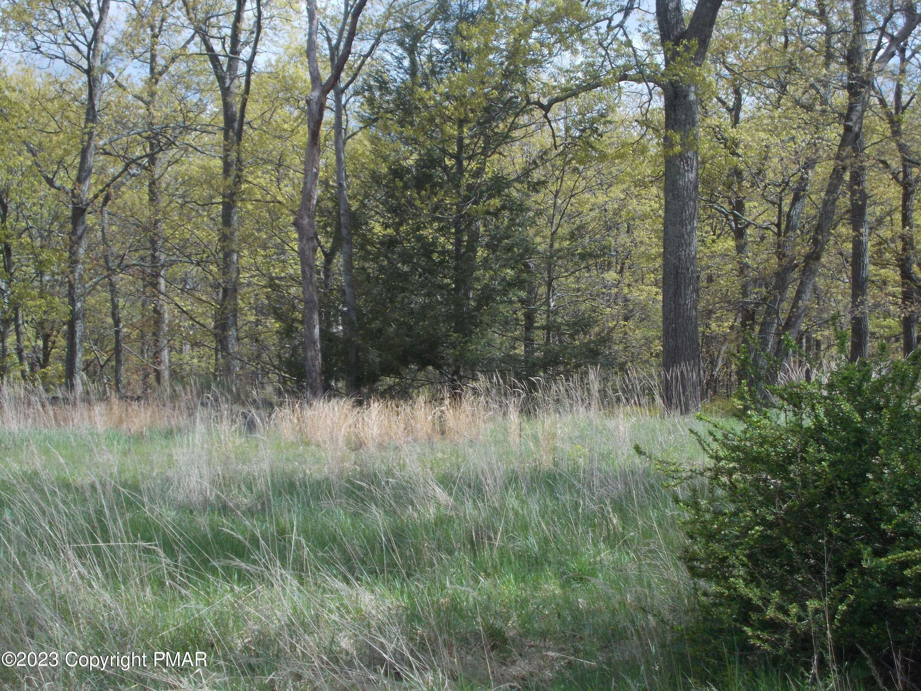Laurel LOOP, Swiftwater, PA 18370