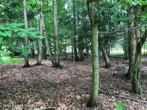 Albrightsville, PA 18210,E14 Trail Ridge RD