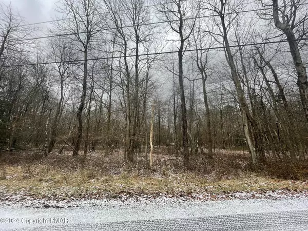 Albrightsville, PA 18210,DP1400 Chinook Trail & Cochise TRL