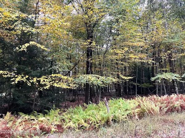 A127A Broad Mountain View DR, Jim Thorpe, PA 18229