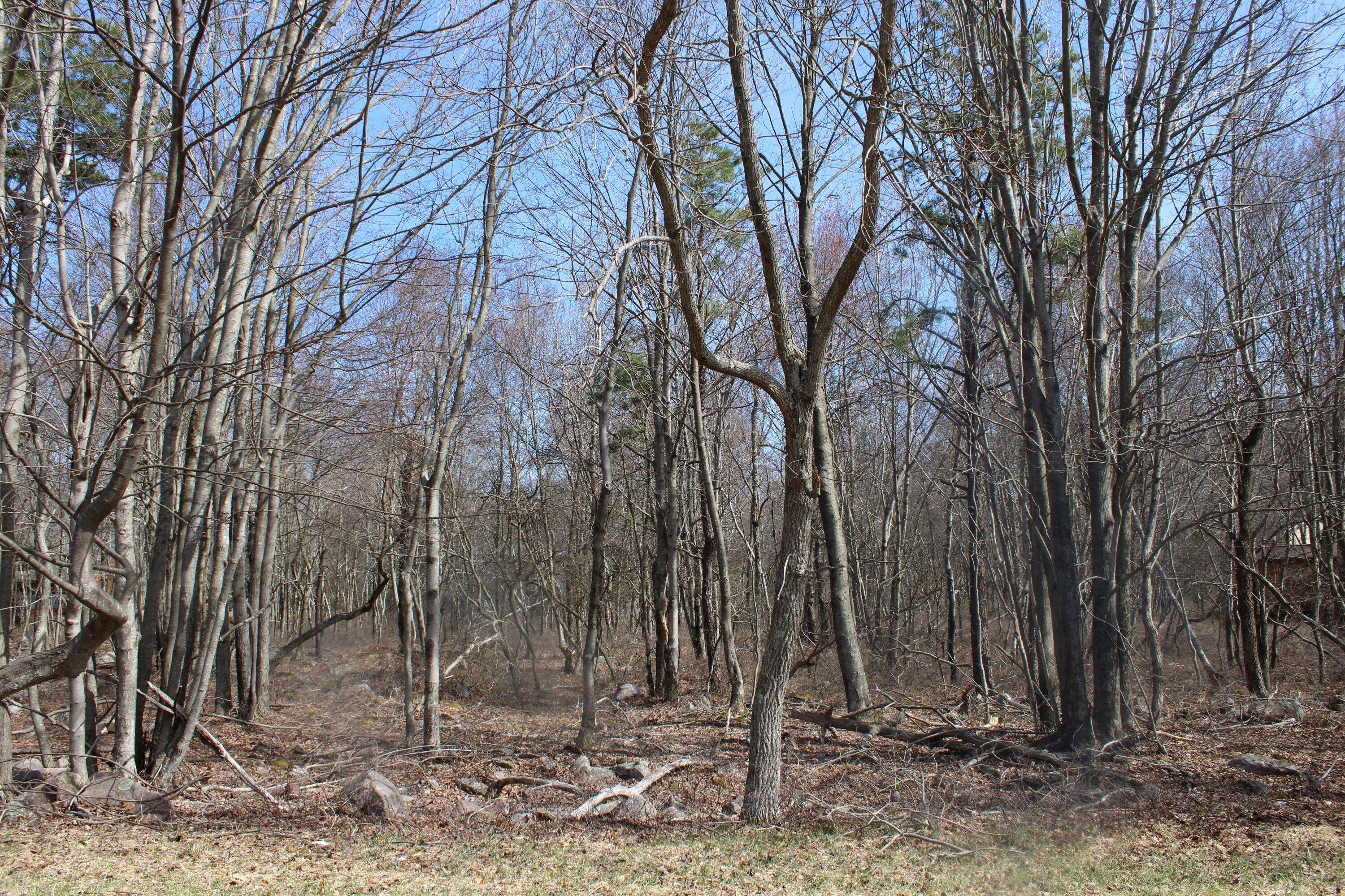 86 & 87 Buck Hill RD, Blakeslee, PA 18610