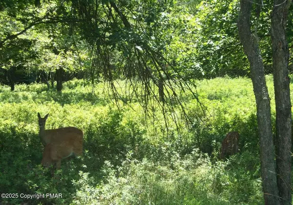 871 Towamensing TRL,  Albrightsville,  PA 18210