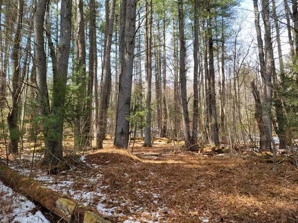 Cresco, PA 18326,2 Cranberry Creek RD