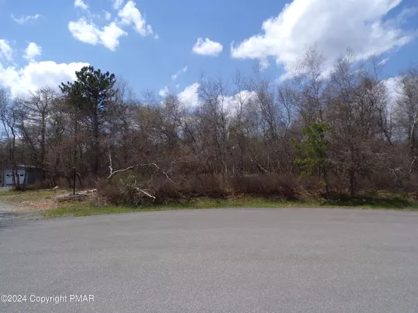 Lot 36 Pearson CT, Albrightsville, PA 18210