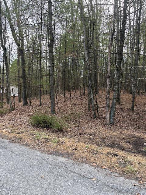 Saylorsburg, PA 18353,Lot 35 Majestic Dr 35