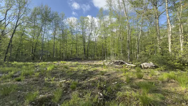 Butternut Road & Mahogany RD, Jim Thorpe, PA 18229