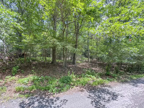 Lot 114 Birch DR,  Jim Thorpe,  PA 18229