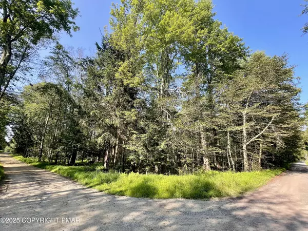 C/8 Bald Eagle Tr and Campfire Ln,  Gouldsboro,  PA 18424