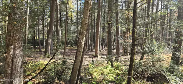 Albrightsville, PA 18210,C830 & C831 Lakeside LN