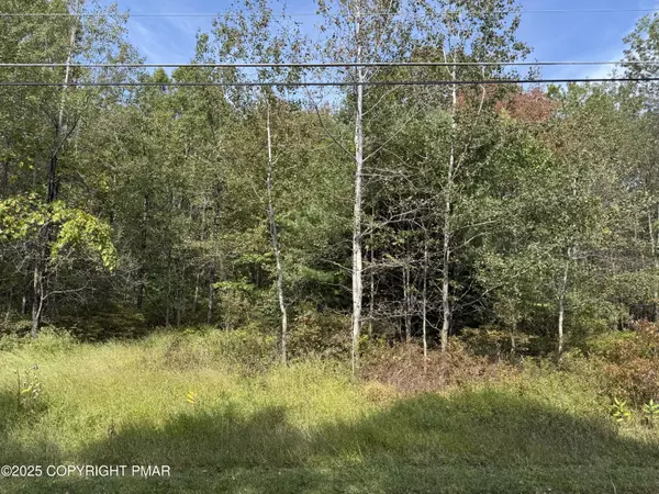 Jim Thorpe, PA 18229,223 Wolf DR