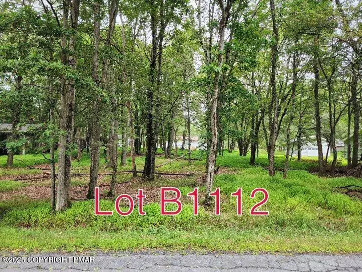 Albrightsville, PA 18210,Lot B1112 Beaver DR