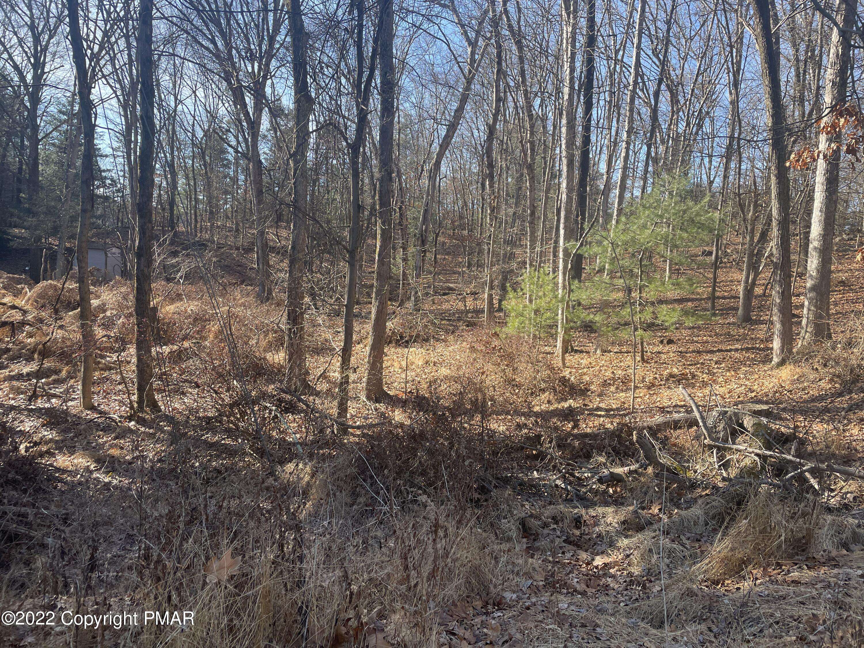 Lot 55 EDWARD F SMITH BLVD, East Stroudsburg, PA 18302