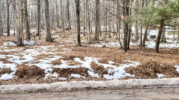 242 Lower Lakeview Dr (Lot 115), Hawley, PA 18428