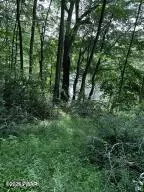 Lot 10 Blossom RD,  Lackawaxen,  PA 18435