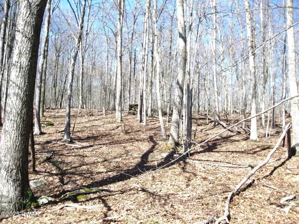 Hawley, PA 18428,1312 Dewberry DR