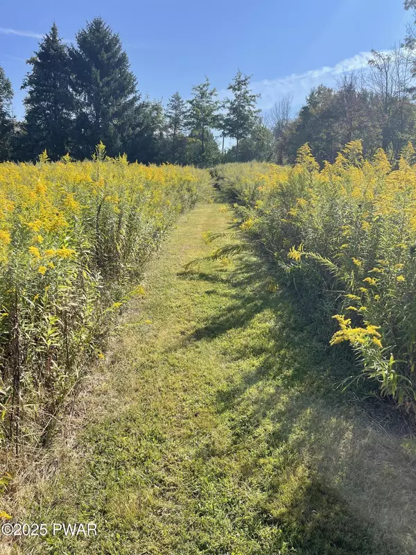 641 Spring Hill RD,  Moscow,  PA 18444