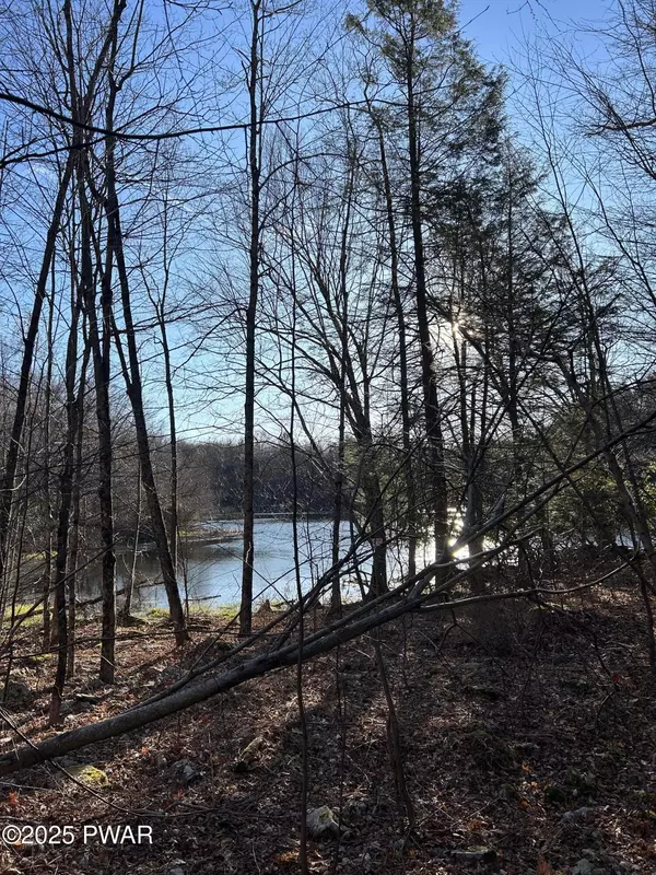 Newfoundland, PA 18445,4, 5, 6, 7 Secluded Lake Road