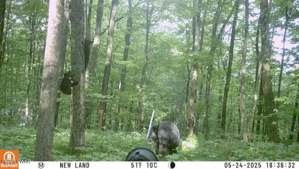 Newfoundland, PA 18445,4, 5, 6, 7 Secluded Lake Road