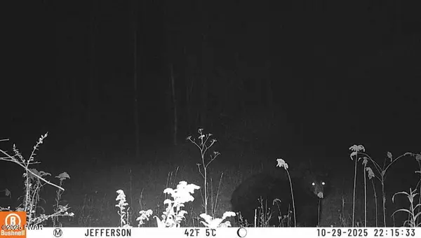 Newfoundland, PA 18445,4, 5, 6, 7 Secluded Lake Road