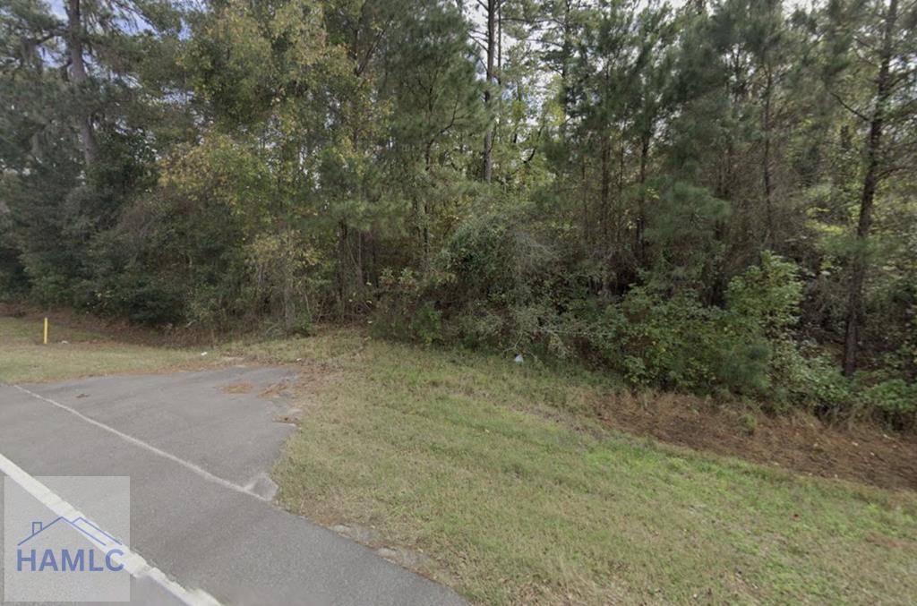 1.54 Ac East Oglethorpe Highway, Midway, GA 31320
