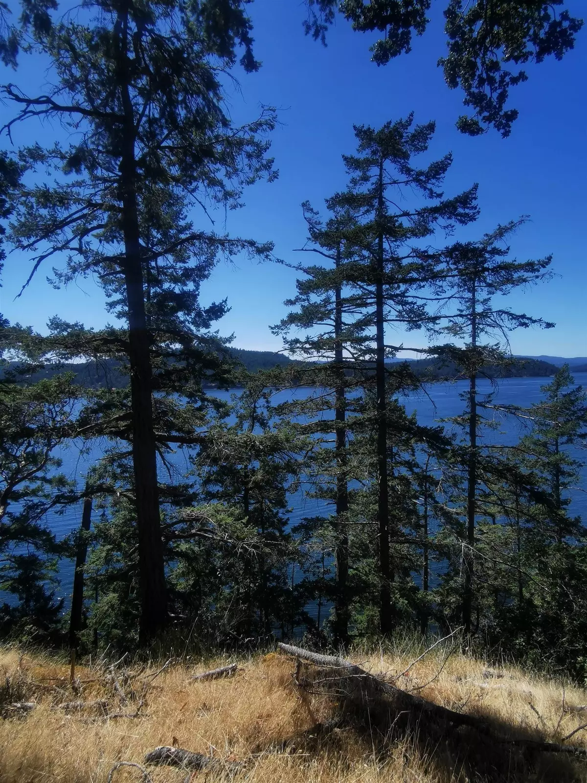 Mayne Island, BC V0N 2J2,LOT 9 Beechwood DR