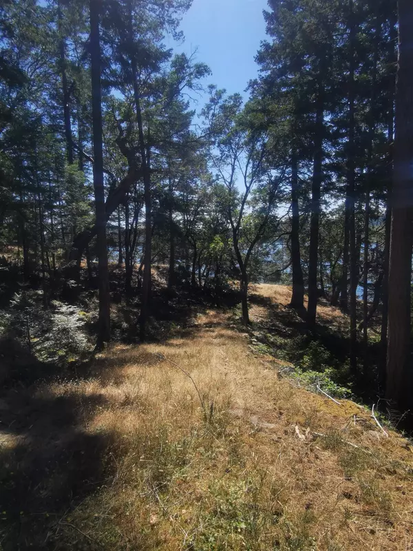Mayne Island, BC V0N 2J2,LOT 9 Beechwood DR