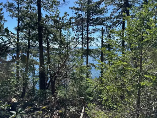 Garden Bay, BC V0N 1S1,LOT 48 Orca RD