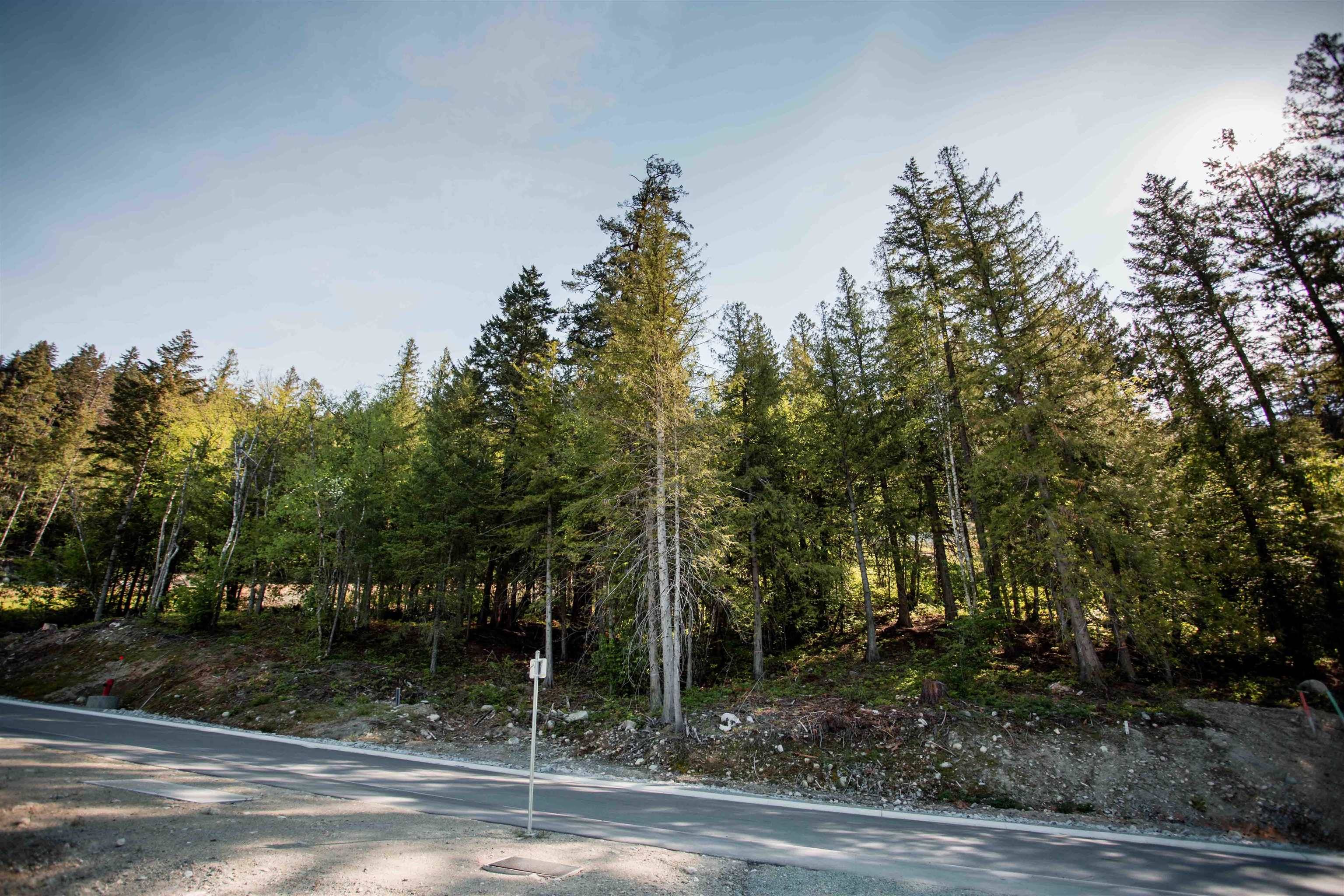 Pemberton, BC V0N 2L3,9007 Sun God Mountain WAY
