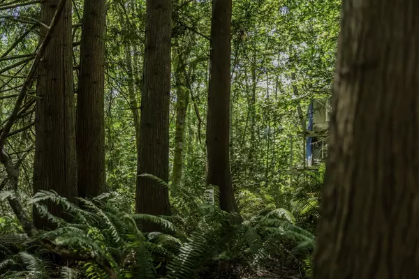 12882 Stone RD Pender Harbour, BC V0N 2H1