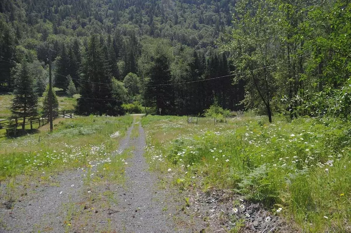 Columbia Valley, BC V2R 4X9,43751 Frost RD