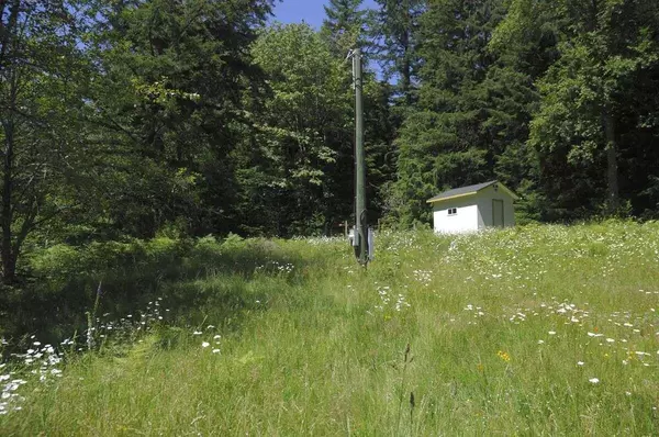 Columbia Valley, BC V2R 4X9,43751 Frost RD