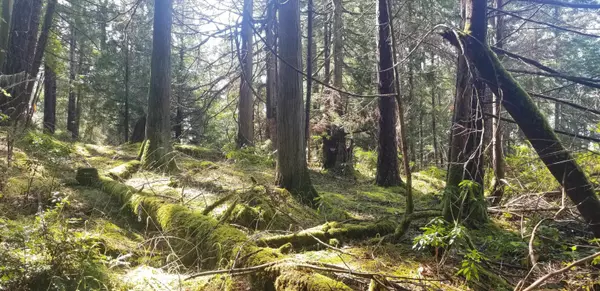 278 Laura Point RD Mayne Island, BC V0N 2J1