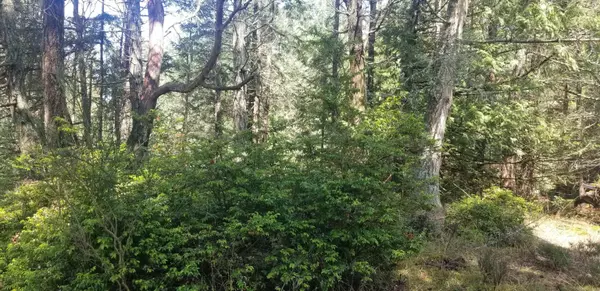 278 Laura Point RD Mayne Island, BC V0N 2J1