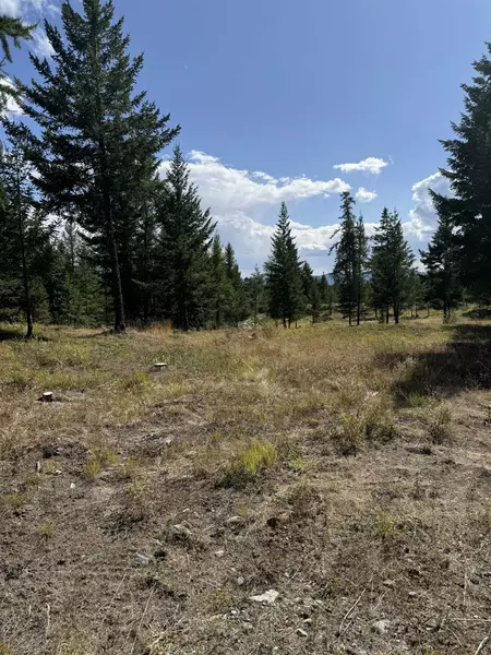 891 Raven Hill RD, No City Value, BC V3H 1V6