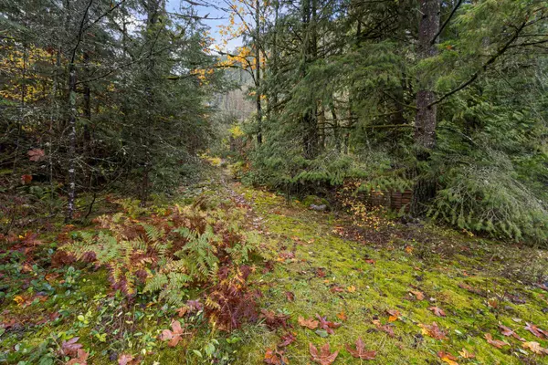 Hope, BC V0X 1L2,19602 Silver Skagit RD