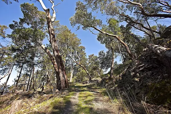 Salt Spring Island, BC V8K 0A3,206 Narrows West RD