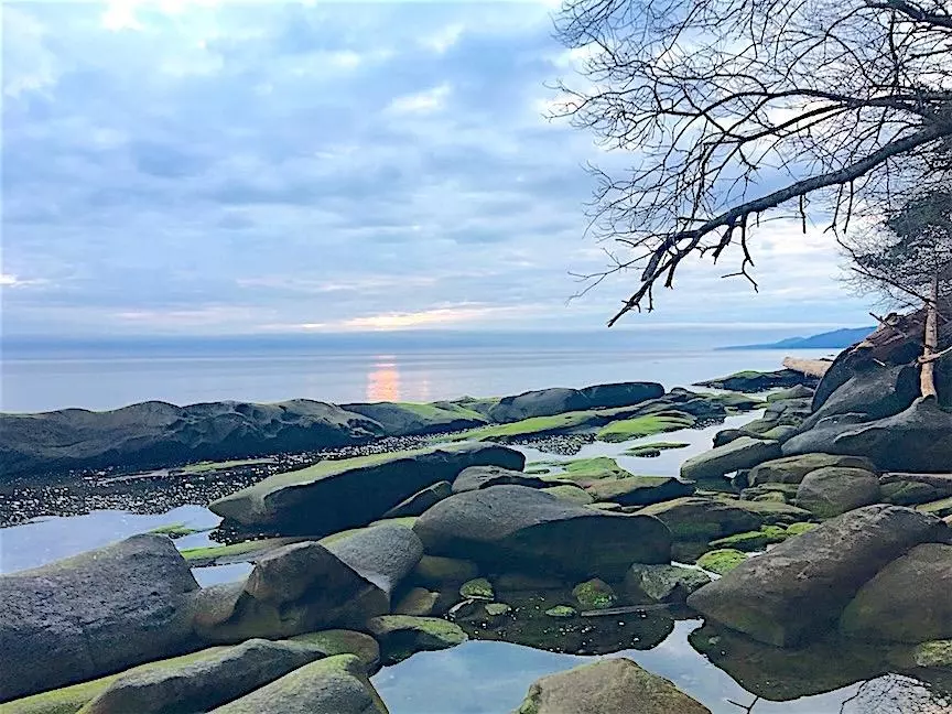 Galiano Island, BC V0N 1P0,Lot 2 Bodega Beach DR